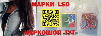 скорость Новозыбков