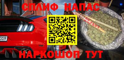скорость Новозыбков