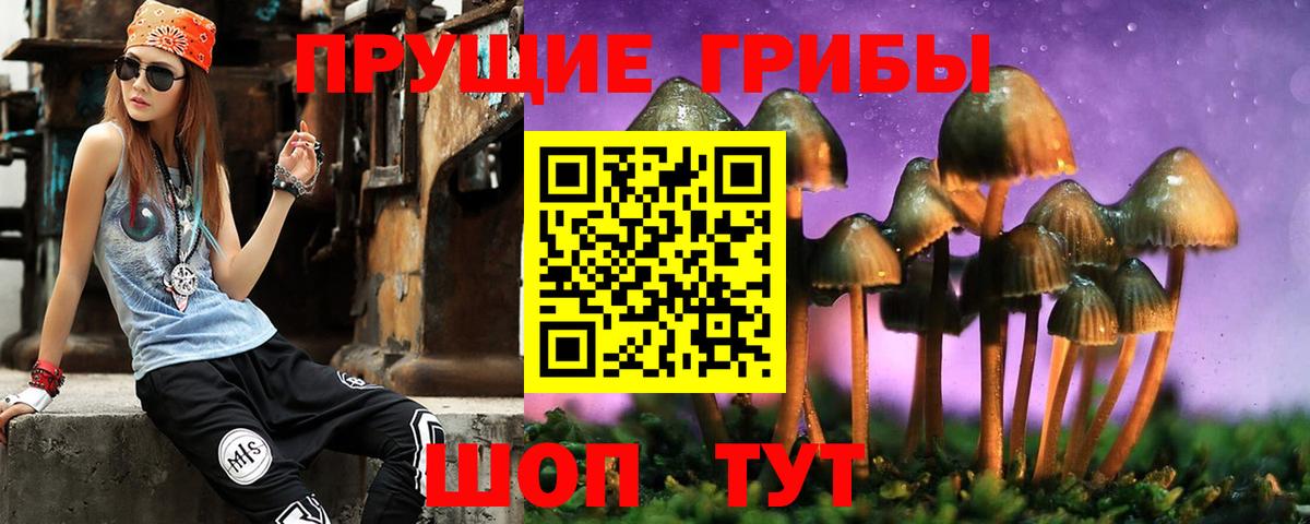 Галлюциногенные грибы Cubensis Узловая