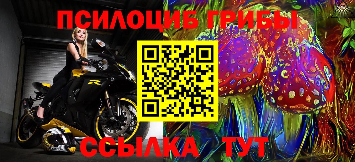 Псилоцибиновые грибы Psilocybine cubensis  Галлюциногенные грибы прущие грибы  Узловая  Вход с VPN 